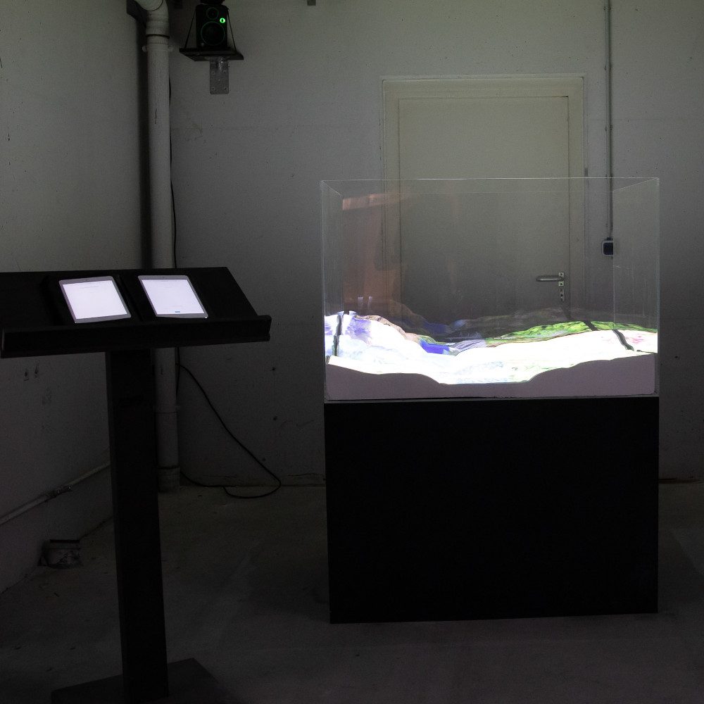 a terrarium at Ars Electronica 2025: a glass box with a projected landscape next to two screens