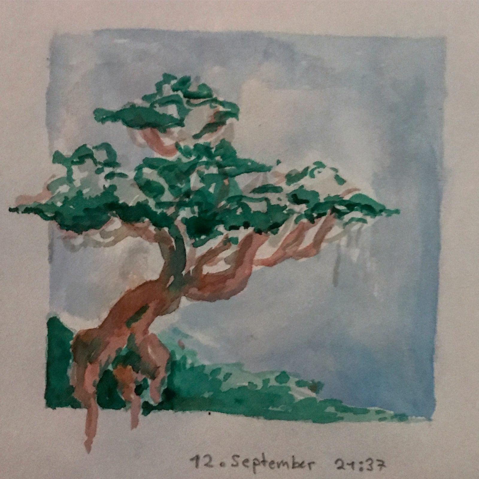 Watercolour of a bonsai-like tree in front of a blue sky