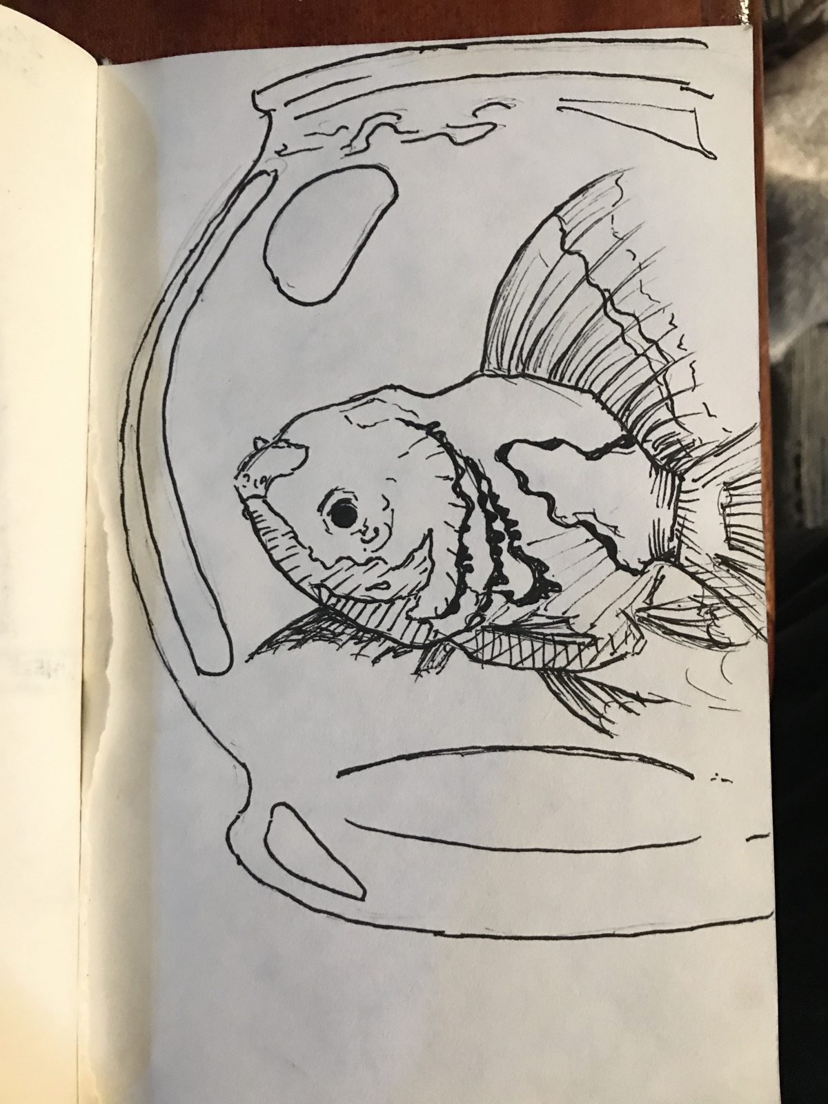 Ink drawing of a goldfish in a glass bowl