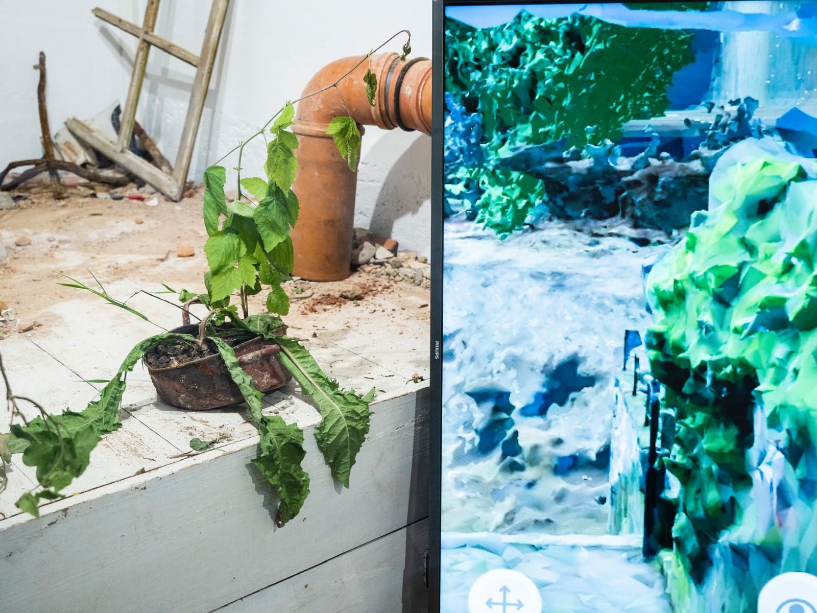 How to walk a space: a 3D scan next to the real place with a plant and a rusty pipe
